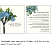 image:imageAUNTESIGN ForgetMeNot Pressed Wildflower Bracelet  Pressed Flower Bracelet  GoldSilver Pressed Flower Jewelry  Personalized Handmade Jewelry  Gift For WomenForgetMeNot and Queen Annes Lace