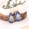 image:imageAUNTESIGN ForgetMeNot and Queen Annes Lace Pressed Wildflower Earrings  Pressed Flower Jewelry  Handmade Drop and Dangle Earrings  Mothers Day  Gift for WomanQueen Annes Lace EarringsBlue Background
