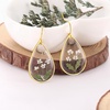 image:imageAUNTESIGN ForgetMeNot and Queen Annes Lace Pressed Wildflower Earrings  Pressed Flower Jewelry  Handmade Drop and Dangle Earrings  Mothers Day  Gift for WomanQueen Annes Lace and Fern Earrings