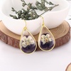 image:imageAUNTESIGN ForgetMeNot and Queen Annes Lace Pressed Wildflower Earrings  Pressed Flower Jewelry  Handmade Drop and Dangle Earrings  Mothers Day  Gift for WomanPansy Earrings