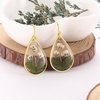 image:imageAUNTESIGN ForgetMeNot and Queen Annes Lace Pressed Wildflower Earrings  Pressed Flower Jewelry  Handmade Drop and Dangle Earrings  Mothers Day  Gift for WomanBabys Breath Earrings
