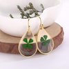 image:imageAUNTESIGN ForgetMeNot and Queen Annes Lace Pressed Wildflower Earrings  Pressed Flower Jewelry  Handmade Drop and Dangle Earrings  Mothers Day  Gift for WomanGold Four Leaf Clover Earrings
