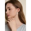 image:imageAUNTESIGN ForgetMeNot and Queen Annes Lace Pressed Wildflower Earrings  Pressed Flower Jewelry  Handmade Drop and Dangle Earrings  Mothers Day  Gift for WomanForgetMeNot Stud Earrings