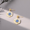image:imageAUNTESIGN ForgetMeNot and Queen Annes Lace Pressed Wildflower Earrings  Pressed Flower Jewelry  Handmade Drop and Dangle Earrings  Mothers Day  Gift for WomanForgetMeNot Stud Earrings