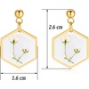image:imageAUNTESIGN ForgetMeNot and Queen Annes Lace Pressed Wildflower Earrings  Pressed Flower Jewelry  Handmade Drop and Dangle Earrings  Mothers Day  Gift for WomanBabys Breath Flower Stud Earrings