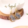 image:imageAUNTESIGN ForgetMeNot and Queen Annes Lace Pressed Wildflower Earrings  Pressed Flower Jewelry  Handmade Drop and Dangle Earrings  Mothers Day  Gift for WomanForgetMeNot Earrings with CardBest Friend