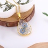 image:imageAUNTESIGN ForgetMeNot and Queen Annes Lace Pressed Wildflower Necklace  Birth Month Flowers Necklace  GoldSilver Pressed Flower Jewelry  Mothers Day  Gift For HerTeardrop ForgetMeNot and Queen Annes Lace Necklace