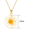 image:imageAUNTESIGN ForgetMeNot and Queen Annes Lace Pressed Wildflower Necklace  Birth Month Flowers Necklace  GoldSilver Pressed Flower Jewelry  Mothers Day  Gift For HerNatural Daisy NecklaceApril Birth Flower