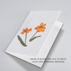 image:imageDaffodil Card  Real Flowers notecard with Handmade Paper  Thinking of You Card  Birthday Card  Mothers Day Card  Wedding Day Card  Gift for Her 4 x 6 Inch Card with EnvelopeZinnias Card