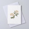 image:imageZinnias Card  Real Flowers notecard with Handmade Paper  Thinking of You Card  Birthday Card  Mothers Day Card  Wedding Day Card  Gift for Her 4 x 6 Inch Card with EnvelopeDaffodil Card