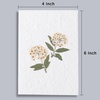 image:imageZinnias Card  Real Flowers notecard with Handmade Paper  Thinking of You Card  Birthday Card  Mothers Day Card  Wedding Day Card  Gift for Her 4 x 6 Inch Card with EnvelopeDaffodil Card