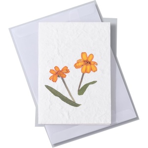 image:imageDaffodil Card  Real Flowers notecard with Handmade Paper  Thinking of You Card  Birthday Card  Mothers Day Card  Wedding Day Card  Gift for Her 4 x 6 Inch Card with EnvelopeZinnias Card