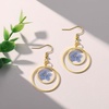 image:imageAUNTESIGN ForgetMeNot Hoop Earrings  Gold Plated Brass Resin Stainless Steel  Modern Dangle Hoop Hoop Design  Dangle Earrings  Alaska State Flower Earrings