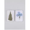 image:image2PCS Real Presssd Flower Magnets  Forgetmenot and Ferns Handmade Items  Boho Botanical Decor  Refrigerator Magnet Fridge Sticker for Kitchen Office Whiteboard and locker