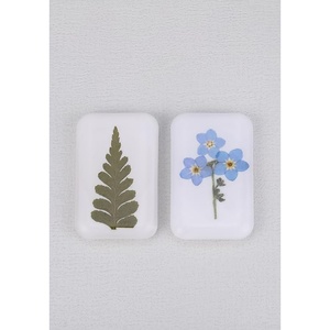 image:image2PCS Real Presssd Flower Magnets  Forgetmenot and Ferns Handmade Items  Boho Botanical Decor  Refrigerator Magnet Fridge Sticker for Kitchen Office Whiteboard and locker